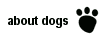 about dogs