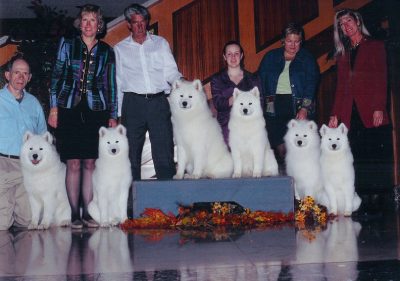 The Onyx Litter at 11 months (L to R) Kya, Mira, Oxy, Mama Seattle, Chilly, Honor