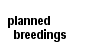 planned breedings