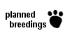 planned breedings